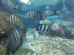 -鸿通城购物中心