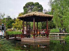 -成飞公园