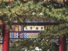 -潭柘寺景区