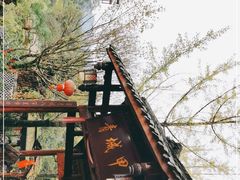 -青城甲(青城山店)