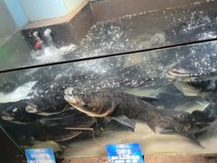 -上名堂·鱼头好吃(体育场路店)