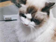 -零纪元VR体验馆·桌游(黄浦店)