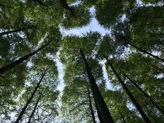 -山王坪喀斯特国家生态公园
