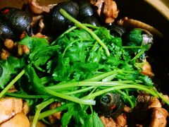 -食爺炭炉鸡煲·烧烤