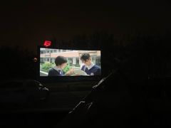 -枫花园汽车电影院(朝阳公园店)