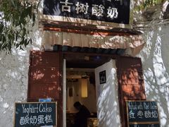 -古树酸奶(八廓南街店)