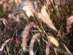 -盛邦家居建材广场