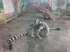 -西安秦岭野生动物园