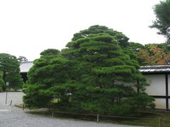 -京都御所
