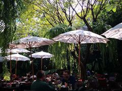 -Fern Forest Cafe