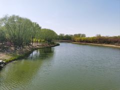 -大兴滨河森林公园