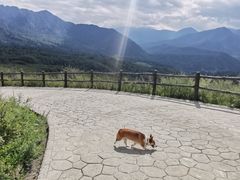 -石棉县孟获城