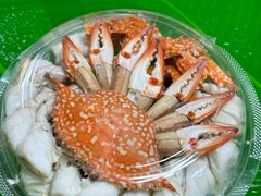 -席娜卡琳火车铁道夜市