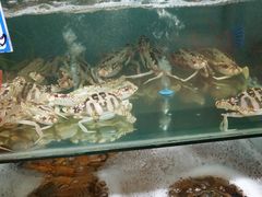 -南海渔家•海鲜•正宗海南菜(海棠湾店)