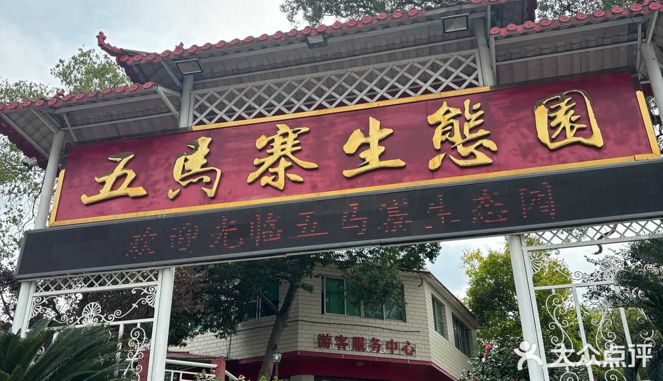 韶关周末去哪玩｜赏樱花🌸采菌子🍄