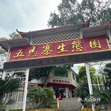 韶关周末去哪玩｜赏樱花🌸采菌子🍄