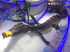 -澜悦港海鲜体验主题餐厅