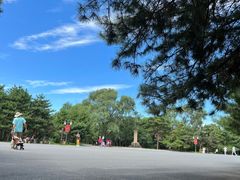 -北陵公园