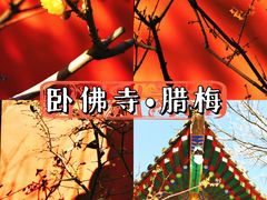 -国家植物园