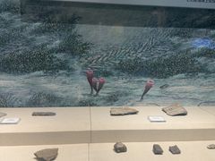 -辽宁古生物博物馆