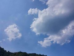 -秦岭风景区