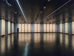 -江苏省美术馆(长江路新馆)