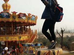 android_upload_pic-辛玛王国游乐园