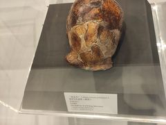 -北京周口店北京人遗址博物馆