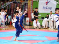 -陈中跆拳道(中关村馆)