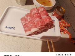 -小龙坎火锅(全球旗舰店)
