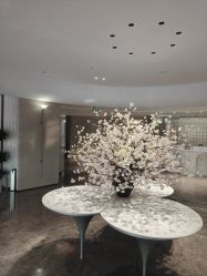 -广州美莱医疗美容医院