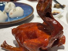 -侨美·唐荔园·40年地道粤菜