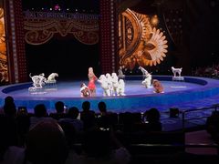 -珠海横琴长隆《卡卡虎奇遇记》