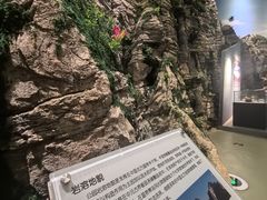 -房山世界地质公园博物馆
