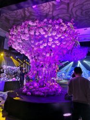 -沈阳富力万达文华酒店·宴会厅