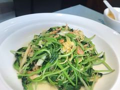 豆腐皮炒鸡毛菜小磷虾-品味居·首店·大连鲜活海鲜大连菜(东港店)