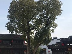 -丝绸小镇荻港古村