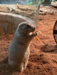 -Zoolung Zoolung动物主题公园(海信广场店)