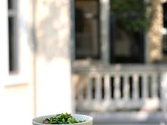 -萬國春·中菜馆(颐和公馆店)