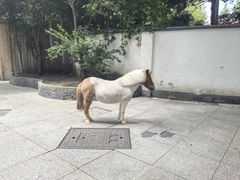 -和平官邸·花园餐厅(武定西路店)