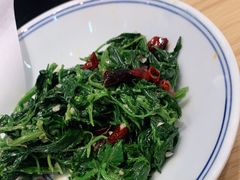 -老碗会·陕西手工面(前海世茂店)