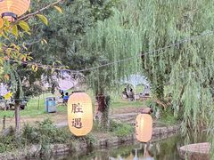 -白马涧龙池景区