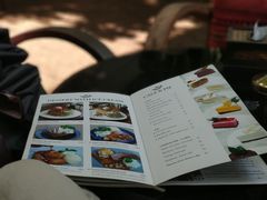 -Fern Forest Cafe