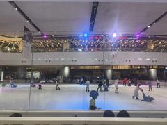 -TheRink大零溜冰场(IFS国金中心店)