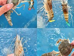 -SHRIMP CLUB万东餐饮钓虾·清吧