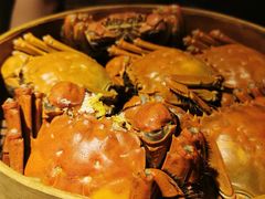 成隆行精选大闸蟹-成隆行·蟹王府(九江路店)
