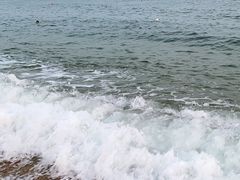 -傅家庄公园