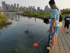 -汉江湾体育公园