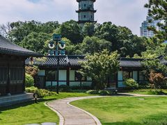 -江心屿景区