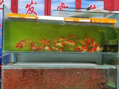 -华声天桥民俗文化园